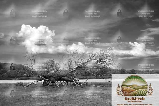 Stillleben | Professioneller Fotograf mit 10 Jahren Erfahrung. Landschafts- und Hochzeitsfotografie im Oderbruch. Workshops und beeindruckende Bilder für besondere Momente.