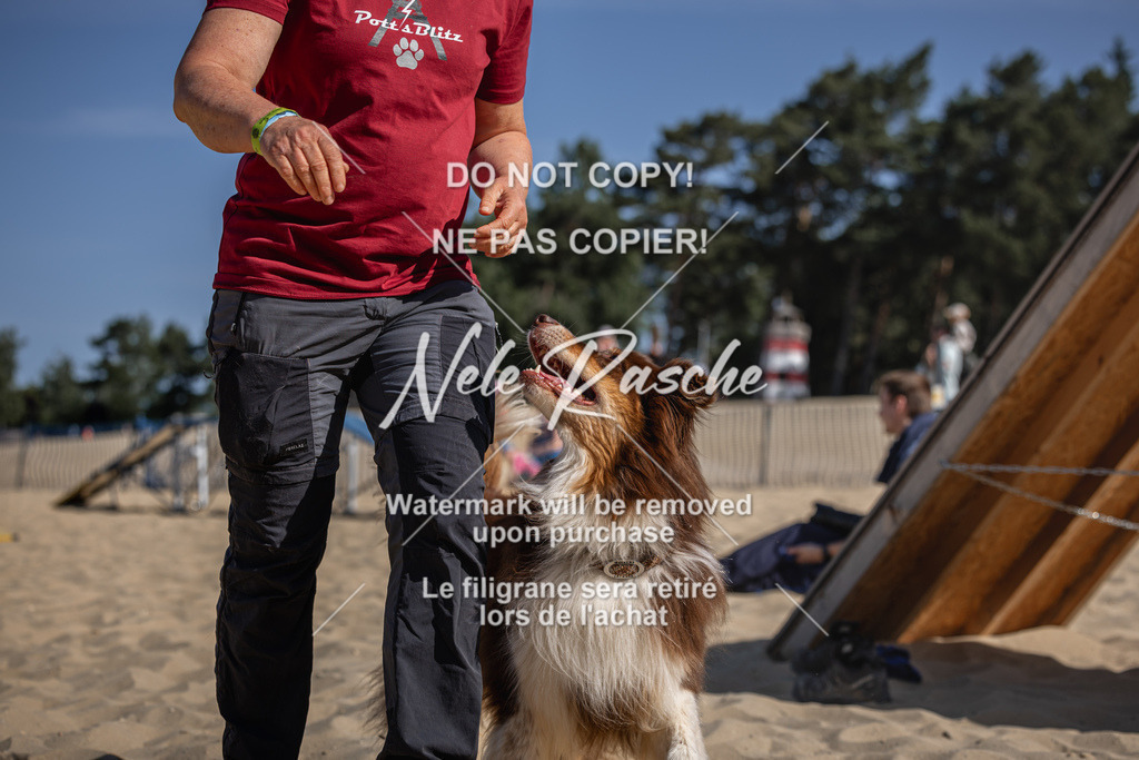 nelerasche_saBeachility_146 | nelerasche