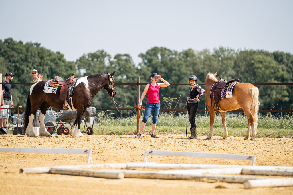 DSC09822 | Pferdegrafie