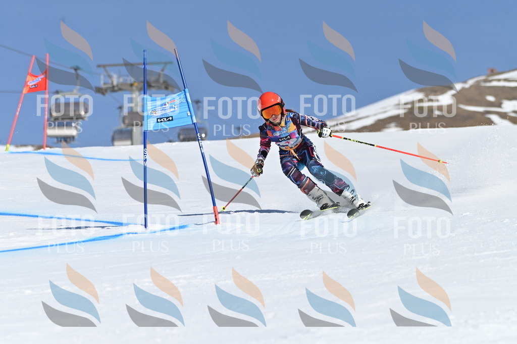 BGV_7633 | holidayphoto