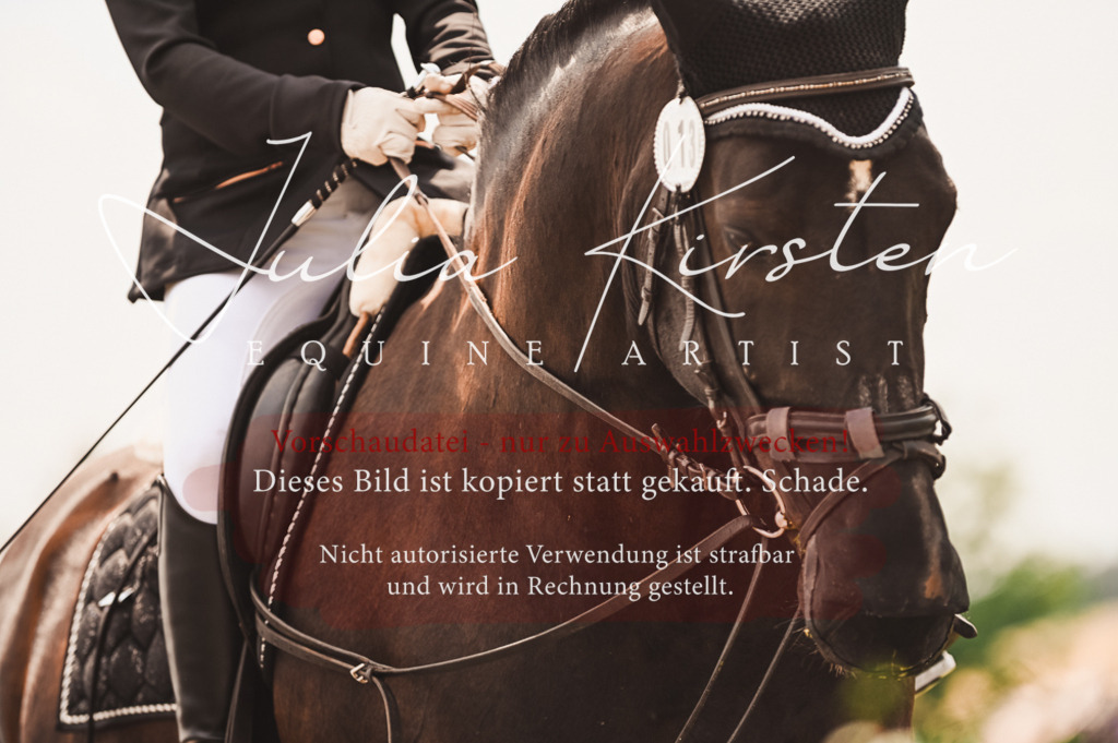 DSC_6323 | Pferde- und Turnierfotografie in Westsachsen. Pferdeportraits, Auftragszeichnungen und intuitive Kunst.