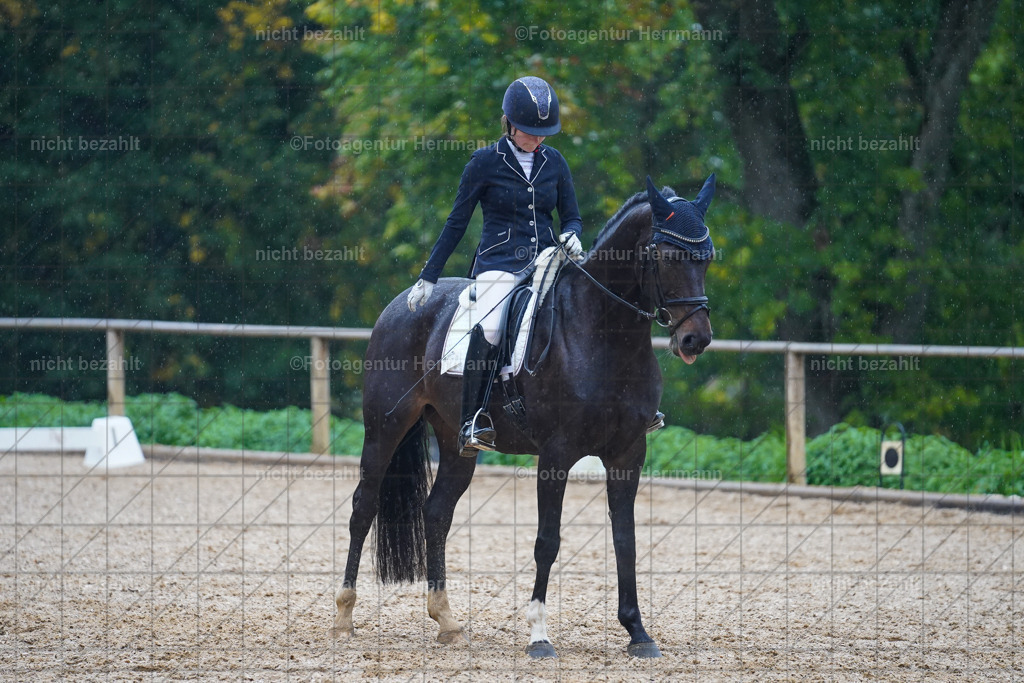 20221008-FAH02150 | Diessen am Ammersee, 2022, Dressur- und Springturnier, Reitsportbilder, Turnierfotografen Bayern, Pferdefotografen, Fotoagentur Herrmann, Turnierbilder