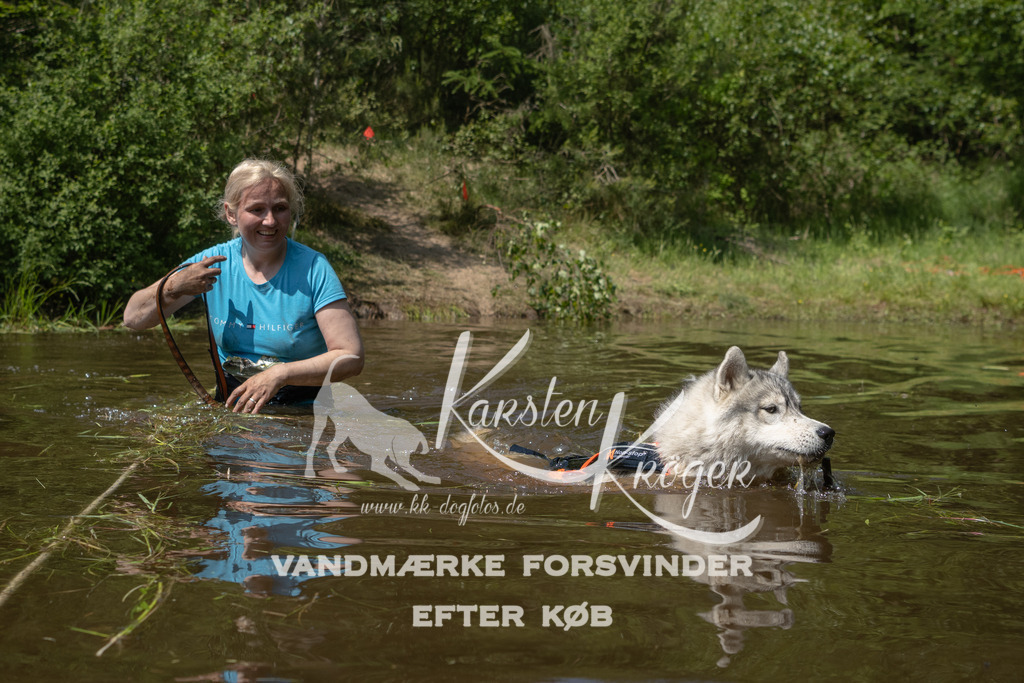 1342DKK994664 | kk-dogfotos