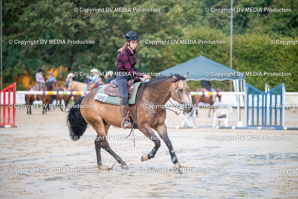 ZS2_4252 | dv-media-shop - Realisiert mit Pictrs.com