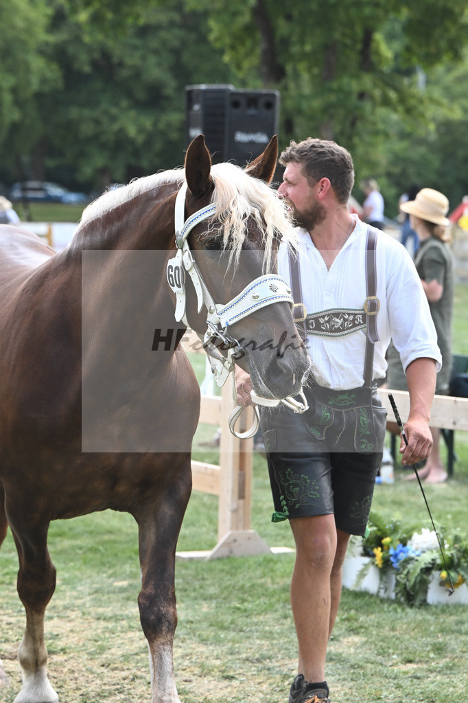 Kat-Nr. 60 Marie_Hoeck_20230976 | hf-fotografie - Realisiert mit Pictrs.com