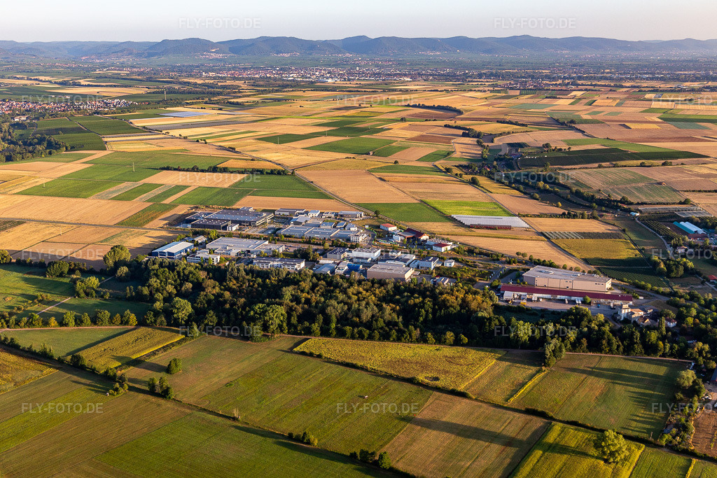 Luftbild: Gewerbepark West in Herxheim bei Landau im Bundesland Rheinland-Pfalz in Deutschland. Foto: IMG_133883.jpg vom 21.08.2022 durch Werner Riehm/FLY-FOTO.de