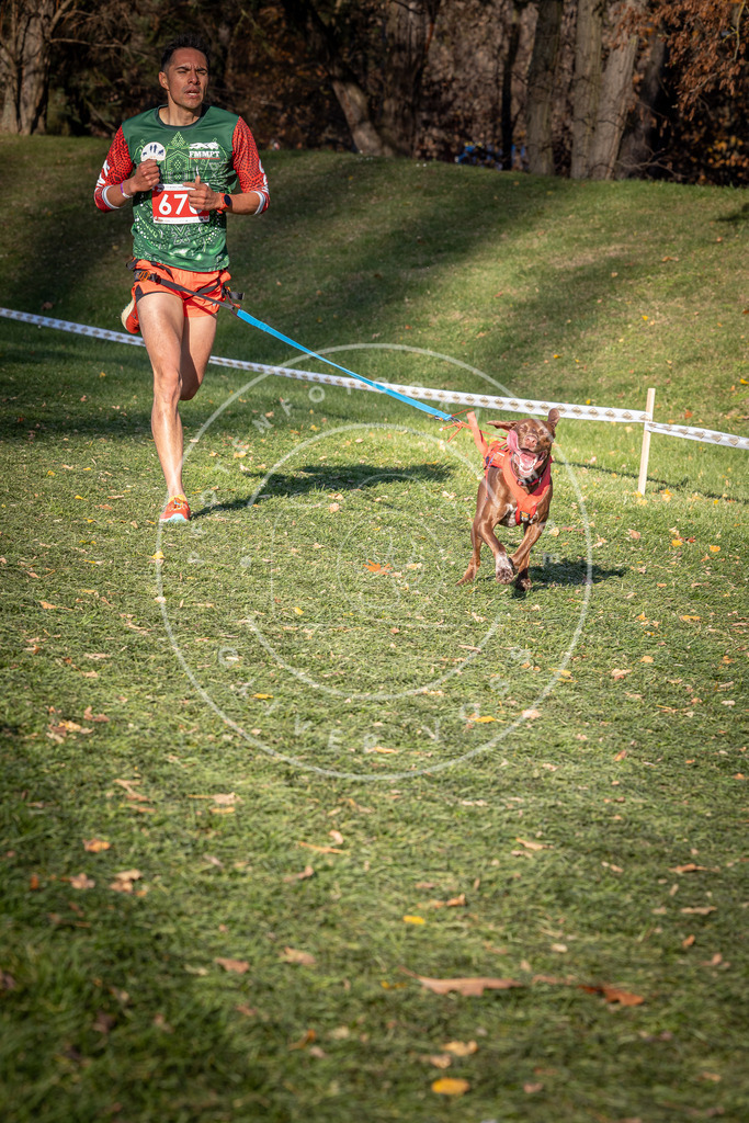 CaniXpix_0L8A9199 | Hundefotografie, Tierfotograf, Pfotenfotografie, Fotoshooting Hund, Hunde Portrait, Hundesport, Hundeportraits, Heideshooting, Hunde, Sportfotograf, Hundefotograf, Turnierhundsport, THS,  - Realisiert mit Pictrs.com