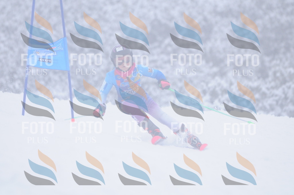 C2777 | holidayphoto