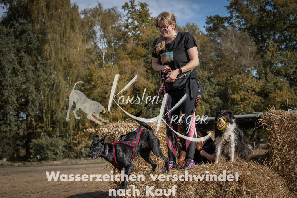 1141_ZZ92503 | kk-dogfotos