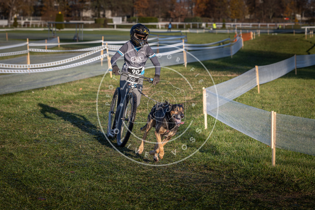 CaniXpix_0L8A3912 | Hundefotografie, Tierfotograf, Pfotenfotografie, Fotoshooting Hund, Hunde Portrait, Hundesport, Hundeportraits, Heideshooting, Hunde, Sportfotograf, Hundefotograf, Turnierhundsport, THS,  - Realisiert mit Pictrs.com