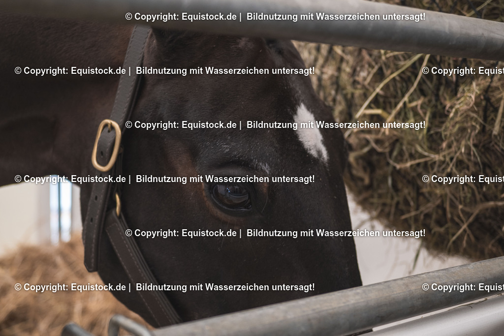 20251114_Boyd-Exell_TOMSPIC_0003 | Foto: Thomas Hartig