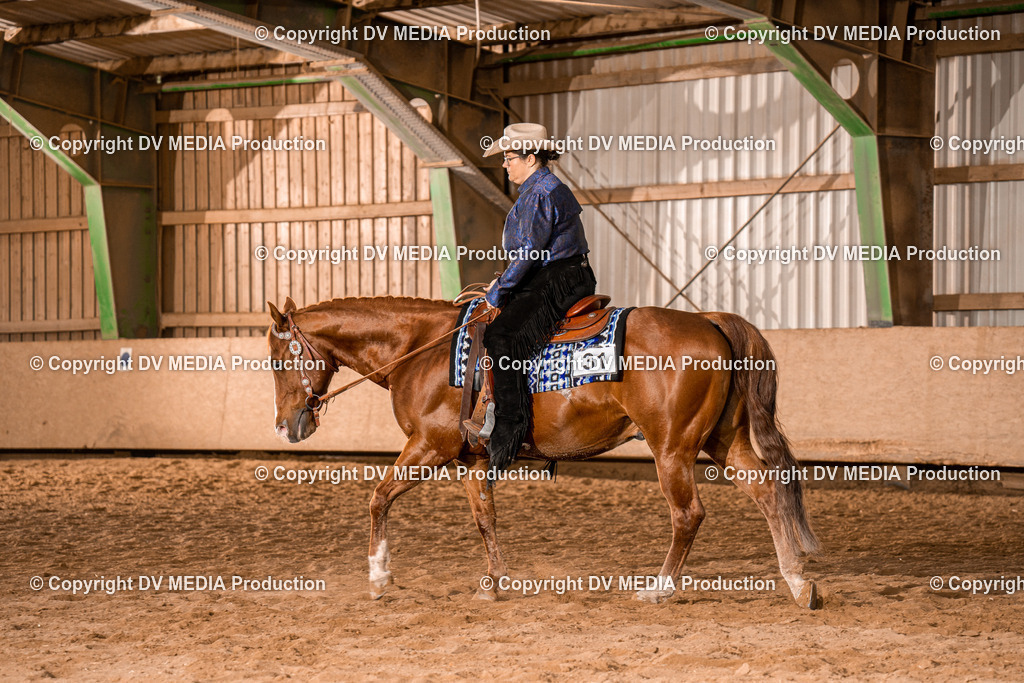 BAL02115 | dv-media-shop - Realisiert mit Pictrs.com