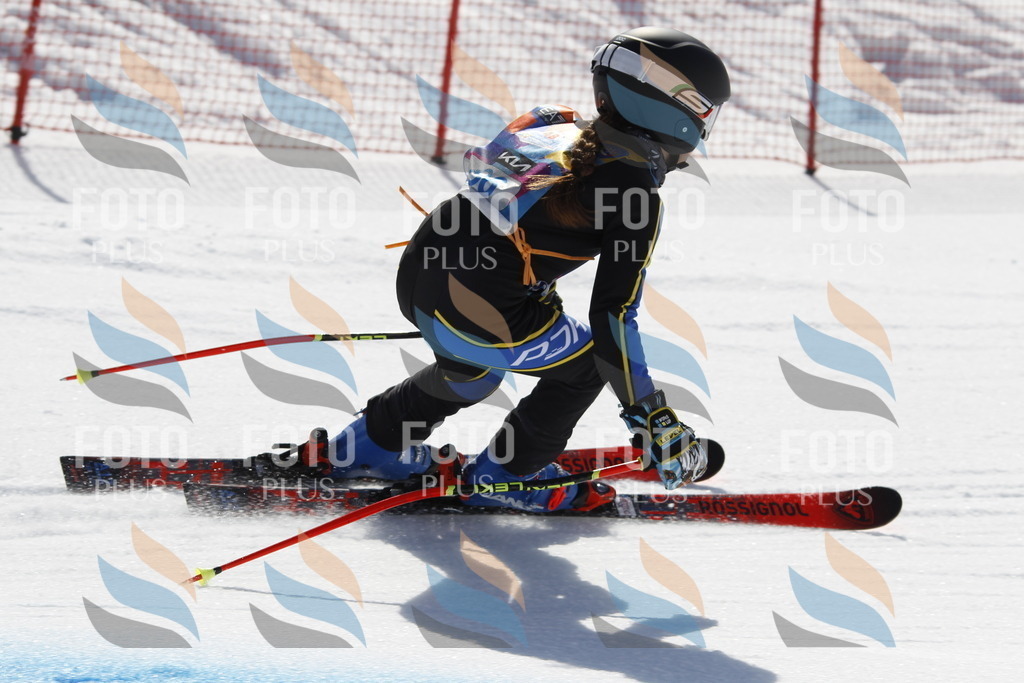 _U3G0096 | holidayphoto