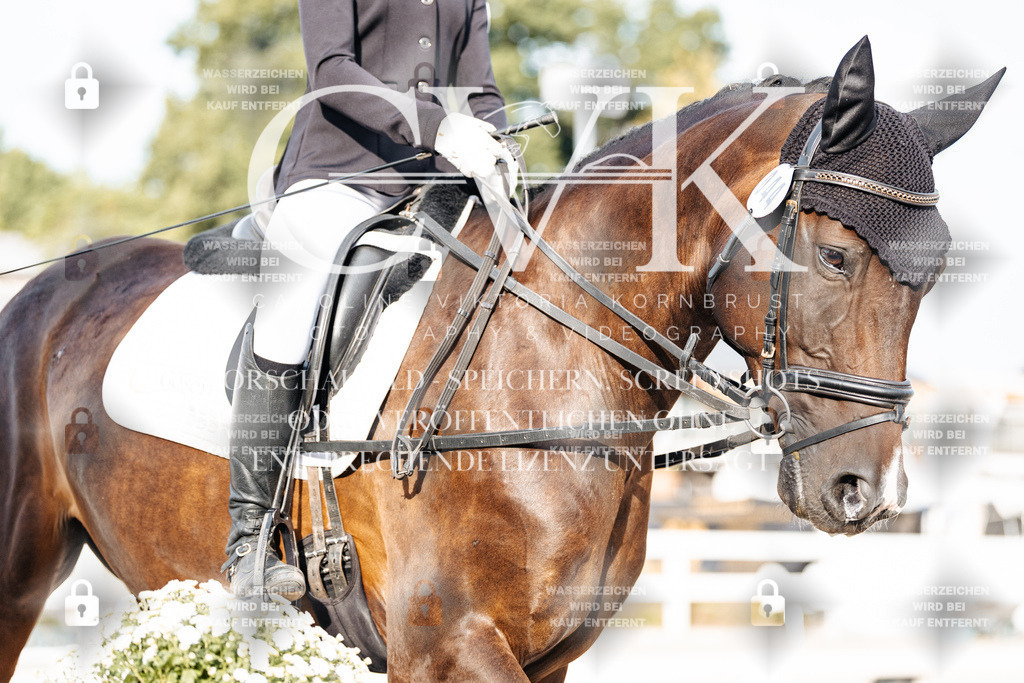 CK903985 | Turnierfotografie Pferdefotografie Trier Rheinland-Pfalz Pferdesport Reitsport Tierfotografie Sportfotografie Pferdevideo Pferdevideografie Equestrianvideography equestrianphotography  - Realisiert mit Pictrs.com