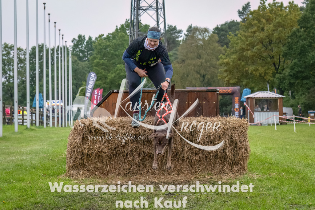 1202--12 | kk-dogfotos