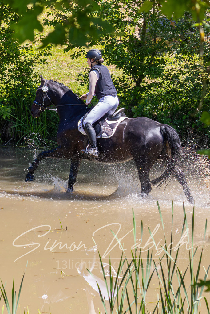 MBFotografie (23) | Tierfotografie Pferde, Hunde, Katzen, Haustiere.
Turnierfotografie Reitturniere, Reiten, Springreiten, Dressur in Hanau, dem Main-Kinzig-Kreis und dem Rhein-Main- Gebiet um Frankfurt