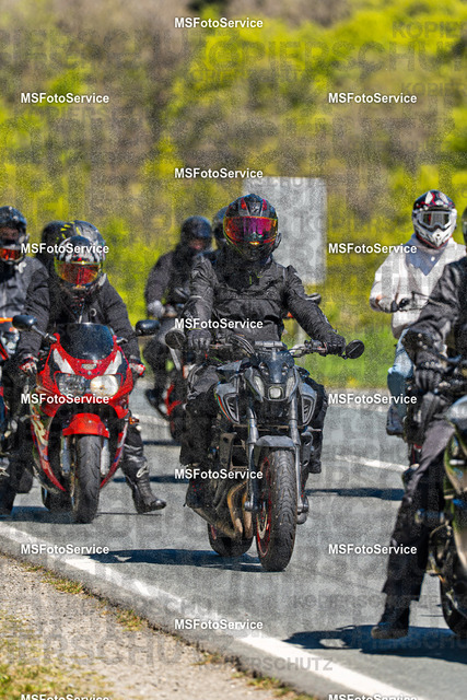MSFotoServiceXXX376 | MSFotoService - Realisiert mit Pictrs.com