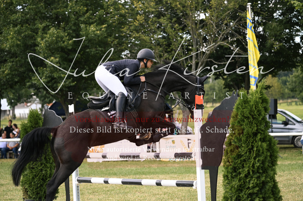 DSC_0815 | Pferde- und Turnierfotografie in Westsachsen. Pferdeportraits, Auftragszeichnungen und intuitive Kunst.