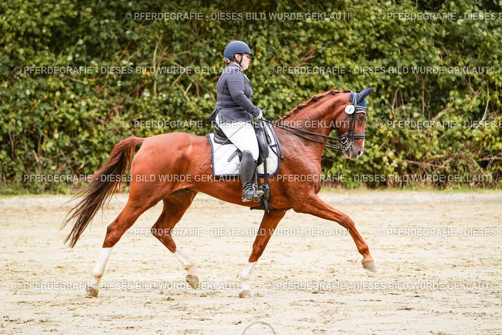 DSC03153 | Pferdegrafie