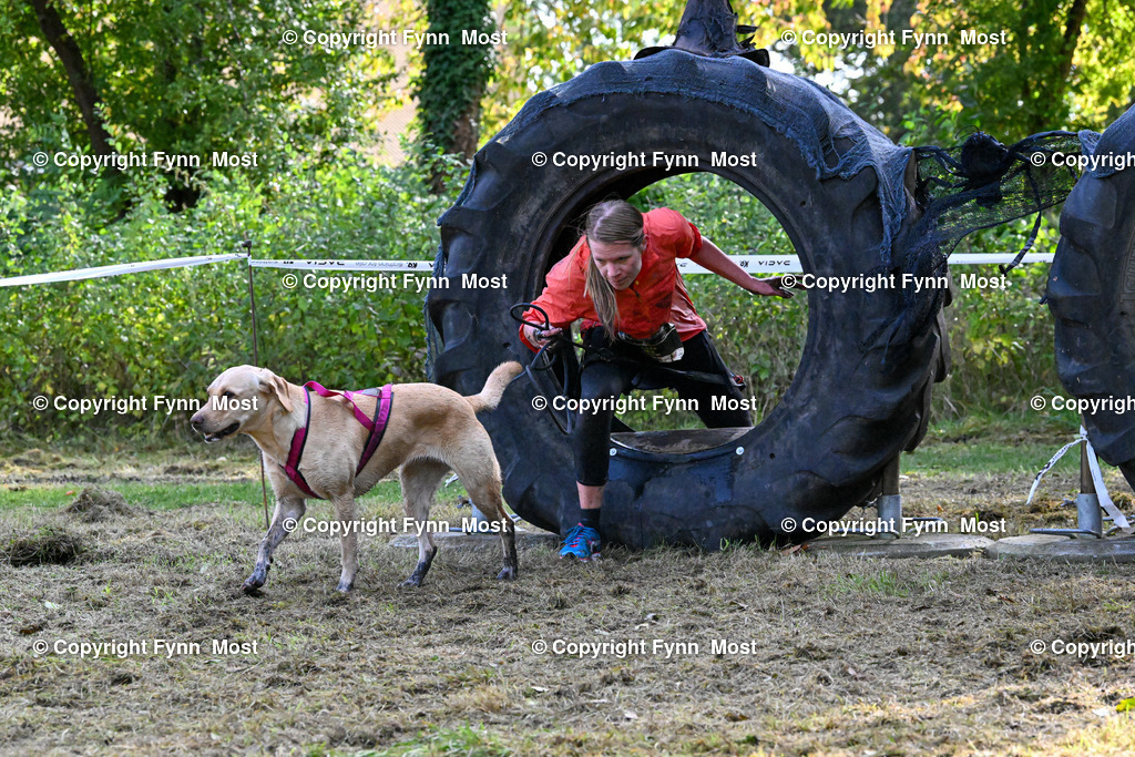 DSC_0375 | Hallo und herzlich Willkommen auf meiner Shop-Seite Fynn Most.

Ich wünsche Dir viel Spaß beim stöbern durch die Bilder, wenn Du Fragen hast oder Bilder vermisst, kannst du mir gerne eine Nachricht schreiben. - Realisiert mit Pictrs.com