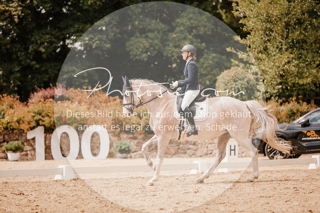 3I6A6171 | Stimmungsvolle Portraits und Reitsportfotografie im Ruhrgebiet und im Münsterland.

Pferdefotografie, Hundefotografie, Tierfotografie, Reportagen, Portraits von Tier und Mensch, Turnierfotografie in Bochum, Recklinghausen, Marl, Haltern am See, Dülmen.. - Realisiert mit Pictrs.com
