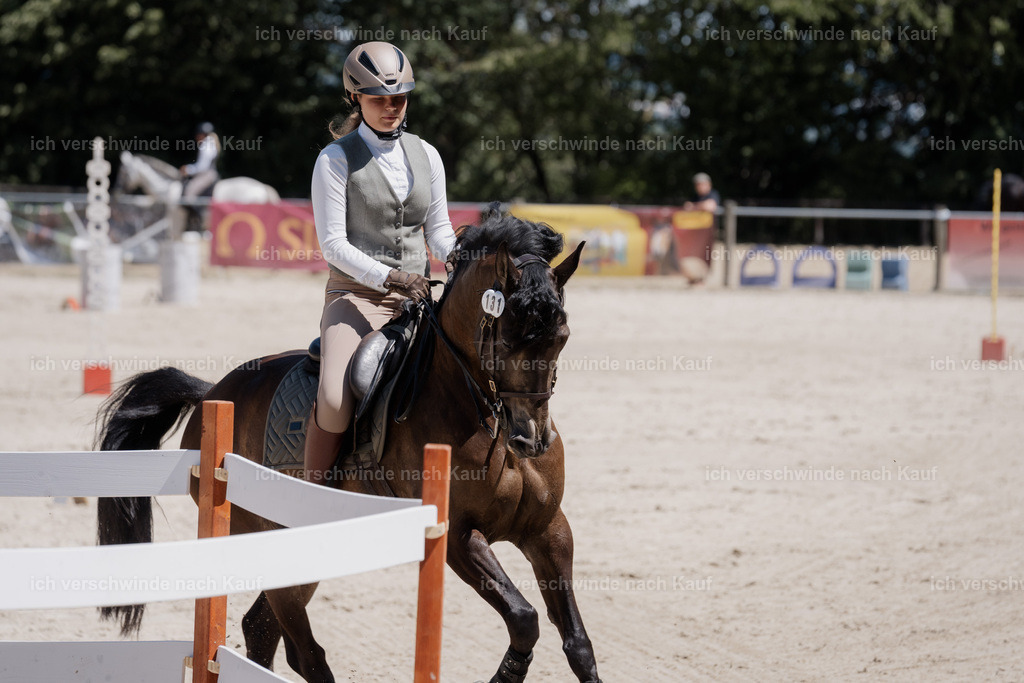 WM_SP_131_SinaFilmArt_IN06801 | working equitationturnier fotograf videograf stoibphotography marixx film working equitation deutschland reitsport turnierfotografie eventfotografie equestrian events
