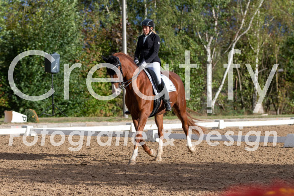 IMG_6179 | Creatify Fotografie