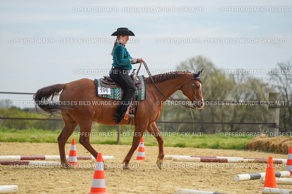 DSC03640 | Pferdegrafie