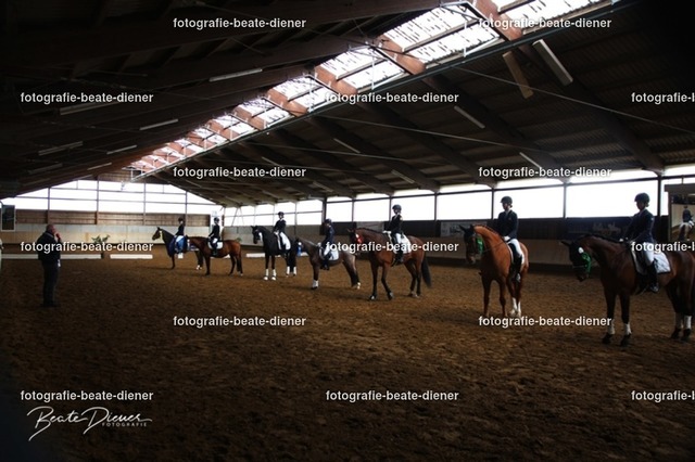 JugendTrophy0631 | Fotografie, Tiere, Hunde, Katzen, Pferde, Sportfotografie, Fotosession, Tierfotografie, Turnierfotografie, Fotografin, Fotograf - Realisiert mit Pictrs.com