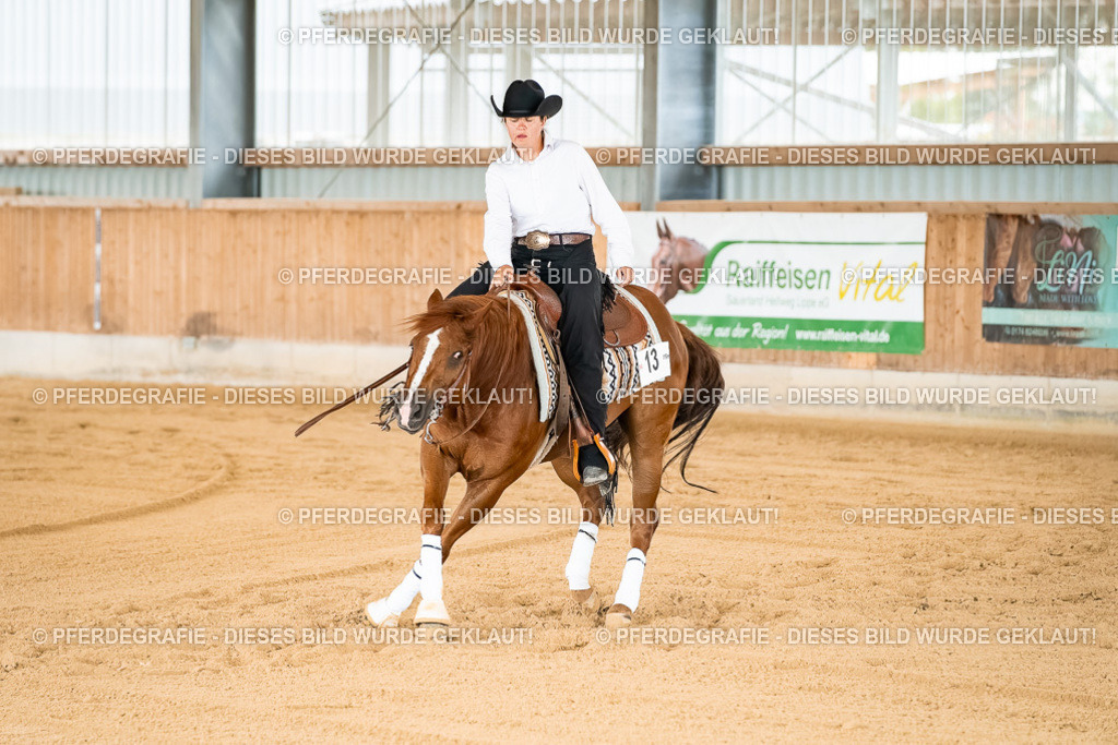 DSC02374 | Pferdegrafie