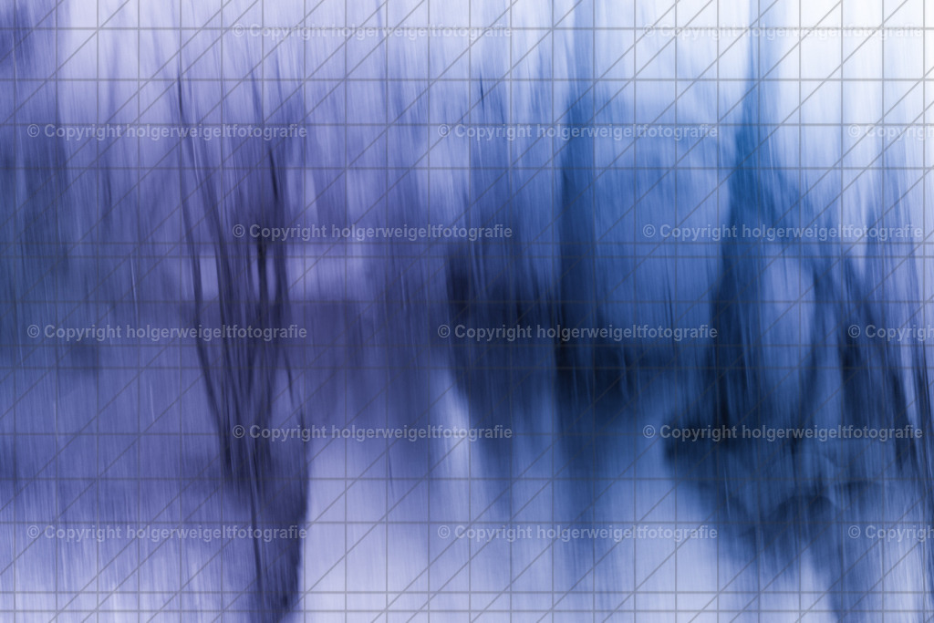 Leine II | Kaufen sie online außergewöhnliche Fotografien auf Leinwand Acrylglas Fotoprint Aludibond von holgerweigeltfotografie - Realisiert mit Pictrs.com