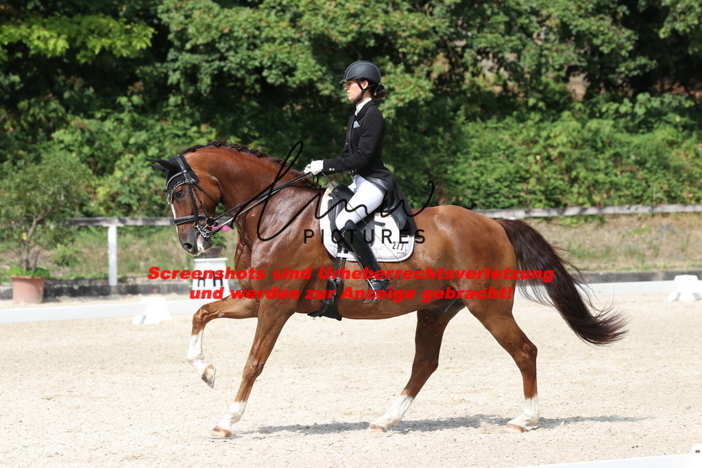 IMG_7124 | lmwpictures - Realisiert mit Pictrs.com