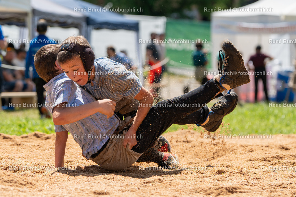 RB_00491 | René Burch leidenschaftlicher Fotograf aus Kerns in Obwalden.  Hier finden sie Sport, Landschaft und Natur Fotografie.
 - Realisiert mit Pictrs.com