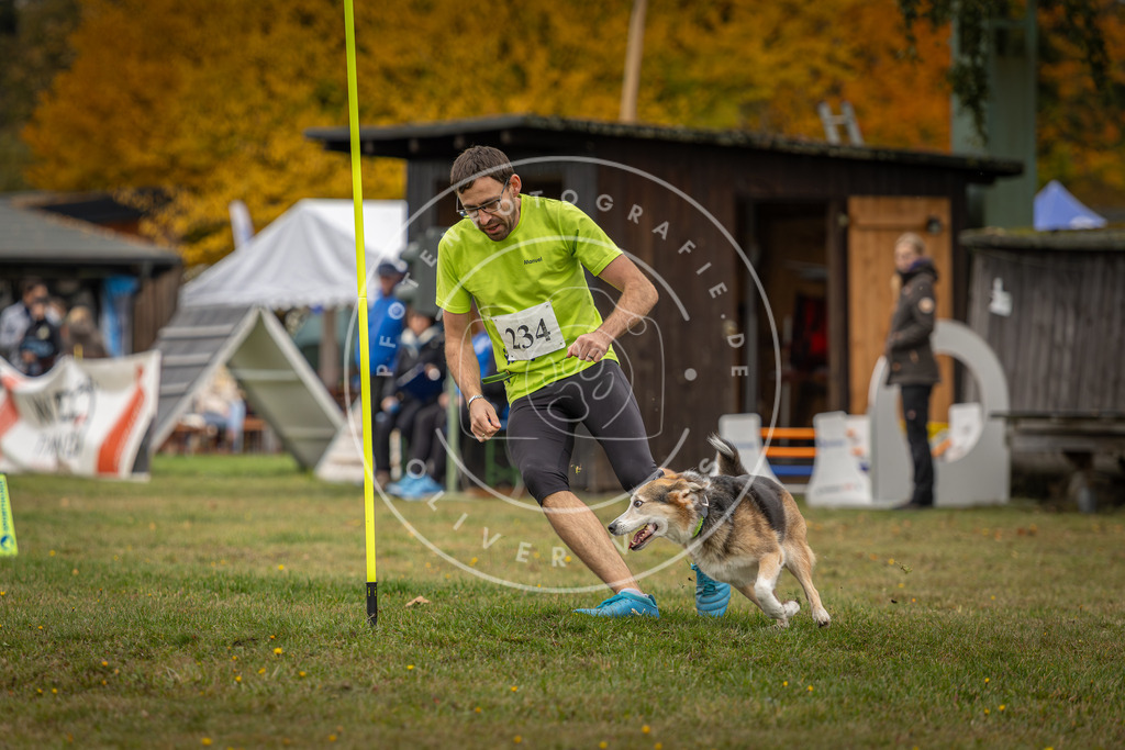 Pfotenfotografie_DV3A4864 | Hundefotografie, Tierfotograf, Pfotenfotografie, Fotoshooting Hund, Hunde Portrait, Hundesport, Hundeportraits, Heideshooting, Hunde, Sportfotograf, Hundefotograf, Turnierhundsport, THS,  - Realisiert mit Pictrs.com