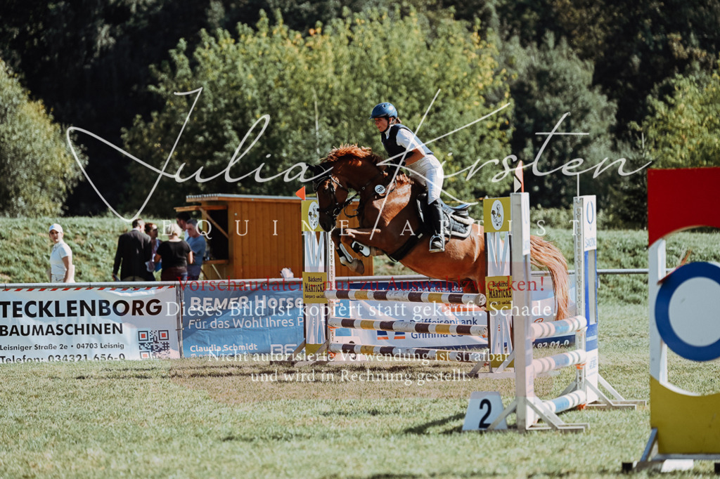 DSC_6937 | Pferde- und Turnierfotografie in Westsachsen. Pferdeportraits, Auftragszeichnungen und intuitive Kunst.