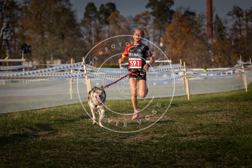 CaniXpix_0L8A9842 | Hundefotografie, Tierfotograf, Pfotenfotografie, Fotoshooting Hund, Hunde Portrait, Hundesport, Hundeportraits, Heideshooting, Hunde, Sportfotograf, Hundefotograf, Turnierhundsport, THS,  - Realisiert mit Pictrs.com
