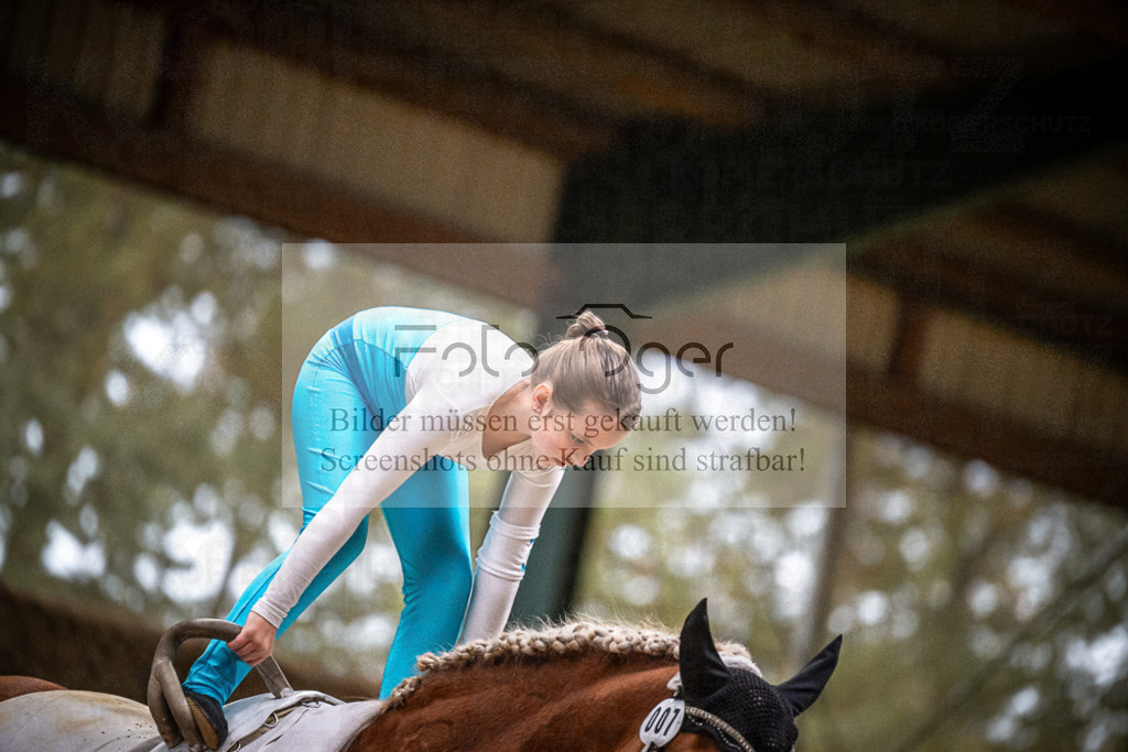 DOS_0273 | Entdecke hochwertige Reitturnierfotos von Foto Oger. Professionell, emotional und authentisch – jetzt Lieblingsmomente im Shop bestellen.Deutschlandweite Turnierfotografie. - Realisiert mit Pictrs.com