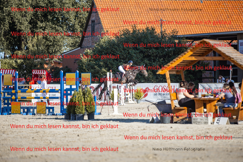 BK1A7656 | Turnierbilder Turnierfotos Nina Hüffmann Turnierfotografie Pferdefotografie Tierzeichnung Haustierzeichnung Pferdezeichnung Hundezeichnung Videograf  - Realisiert mit Pictrs.com