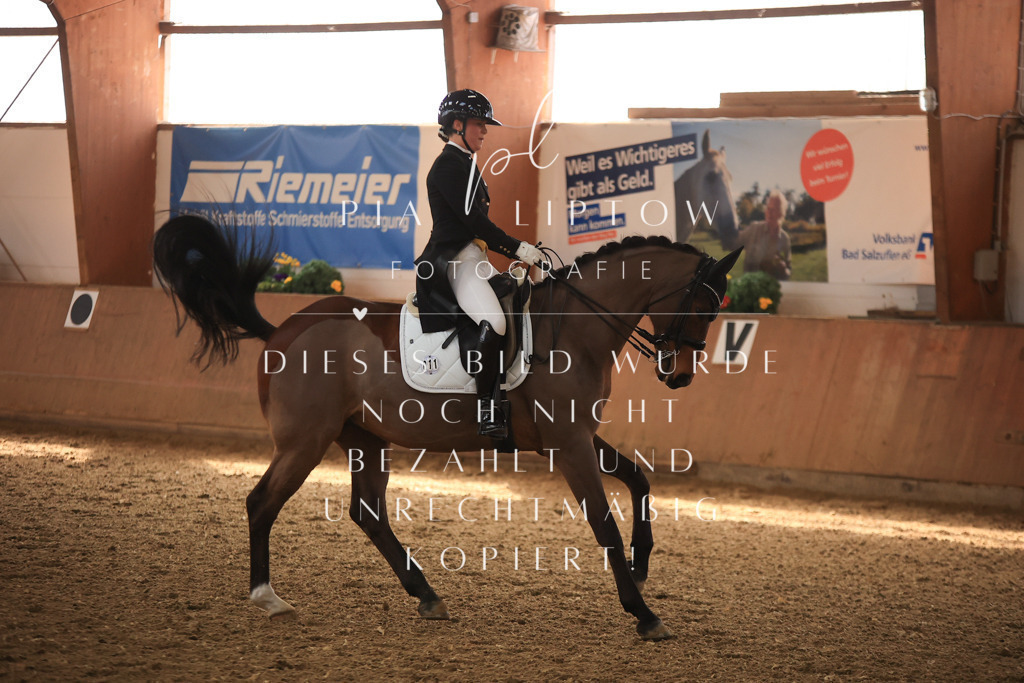 IMGT4274 | pl-fotografie