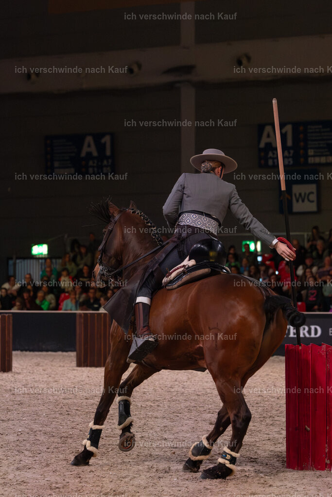 JoseraCup-120 | working equitationturnier fotograf videograf stoibphotography marixx film working equitation deutschland reitsport turnierfotografie eventfotografie equestrian events