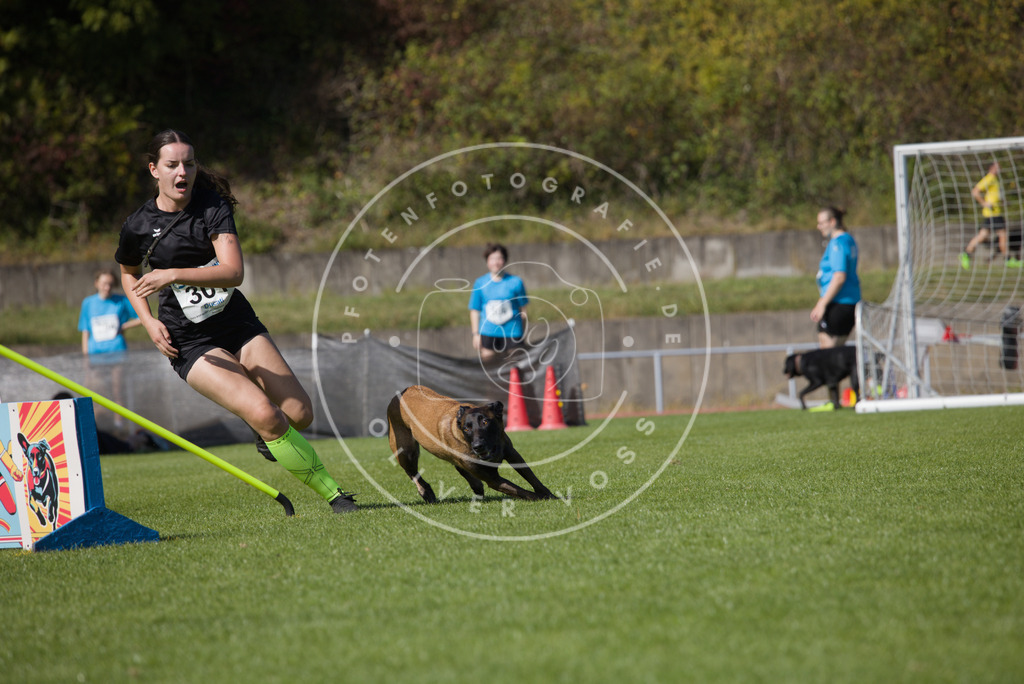 0L8A7493 | Hundefotografie, Tierfotograf, Pfotenfotografie, Fotoshooting Hund, Hunde Portrait, Hundesport, Hundeportraits, Heideshooting, Hunde, Sportfotograf, Hundefotograf, Turnierhundsport, THS,  - Realisiert mit Pictrs.com