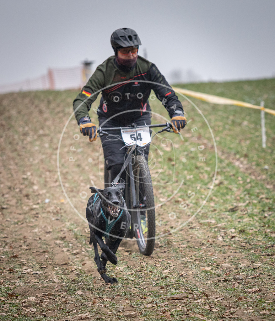 Pfotenfotografie_DV3A1131 | Hundefotografie, Tierfotograf, Pfotenfotografie, Fotoshooting Hund, Hunde Portrait, Hundesport, Hundeportraits, Heideshooting, Hunde, Sportfotograf, Hundefotograf, Turnierhundsport, THS,  - Realisiert mit Pictrs.com