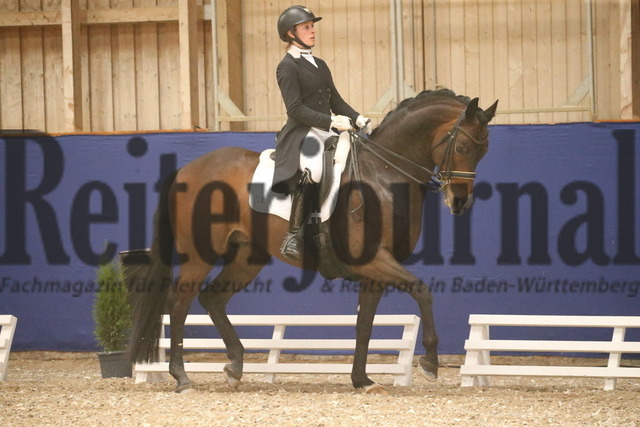 Turnier_Zeutern_2022_Prfg.Nr.02_Kurz-GrandPrix_Nicole Isser_DiCaprio 4 (6) | Alle Fotos der Reiterjournal Fotografin Doris Matthaes im Reiterjournal Online-Fotoshop. - Realisiert mit Pictrs.com