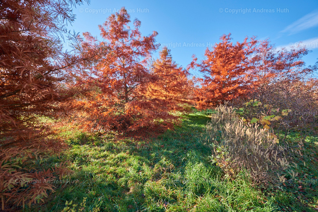 Im Forstbotanischen Garten Tharandt 04 | Bedeutsame Landschaften Deutschlands - Realisiert mit Pictrs.com