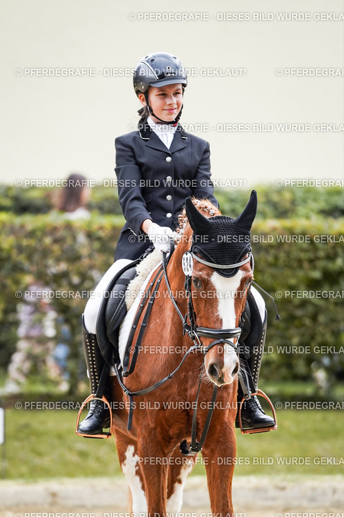 DSC05700 | Pferdegrafie