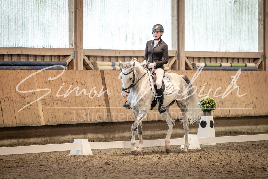 20251011-_3LI5744 | Tierfotografie Pferde, Hunde, Katzen, Haustiere.
Turnierfotografie Reitturniere, Reiten, Springreiten, Dressur in Hanau, dem Main-Kinzig-Kreis und dem Rhein-Main- Gebiet um Frankfurt