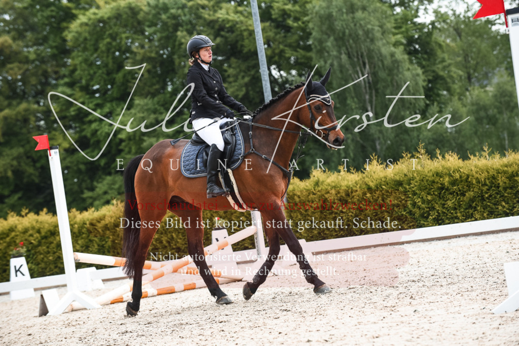 20230518_JK-Röhrsdorf-10-323 | Pferde- und Turnierfotografie in Westsachsen. Pferdeportraits, Auftragszeichnungen und intuitive Kunst.