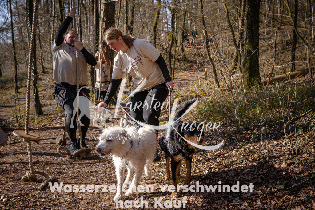 0913_ZZ96643 | kk-dogfotos