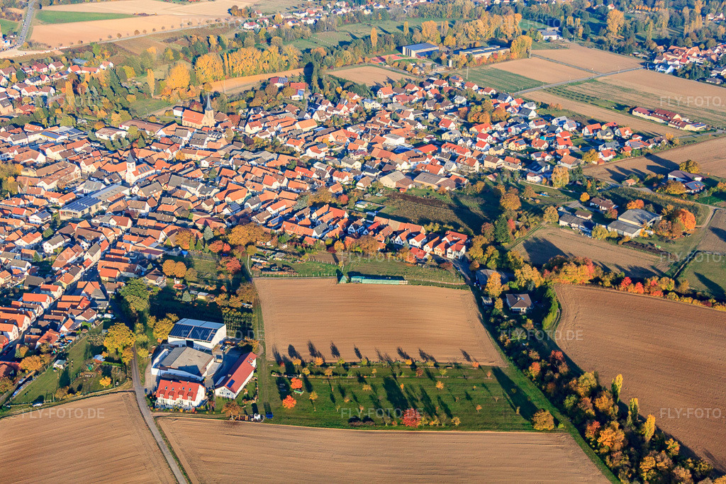 Luftbild: Obergasse im Ortsteil Ingenheim in Billigheim-Ingenheim im Bundesland Rheinland-Pfalz in Deutschland. Foto: IMG_46144.jpg vom 31.10.2011 durch Werner Riehm/FLY-FOTO.deAuflösung des Originals: 4752 x 3168 px
