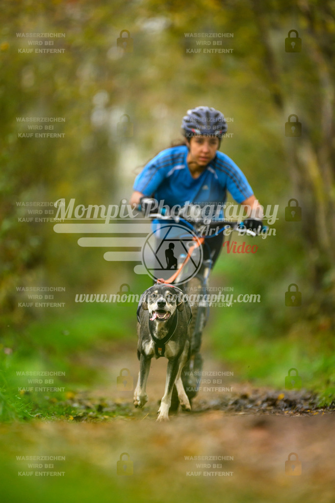 MompixPhotography_20TSB_E6_DS1-51 | PayLife
